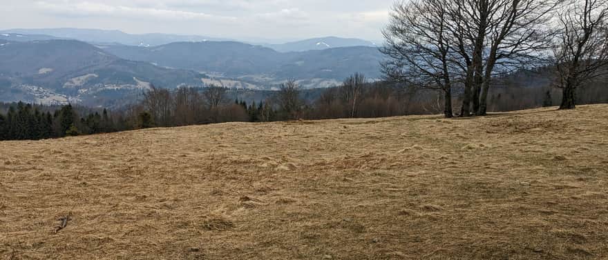 Meadows at Błatnia: view of the Równica range and Stożek and Czantoria