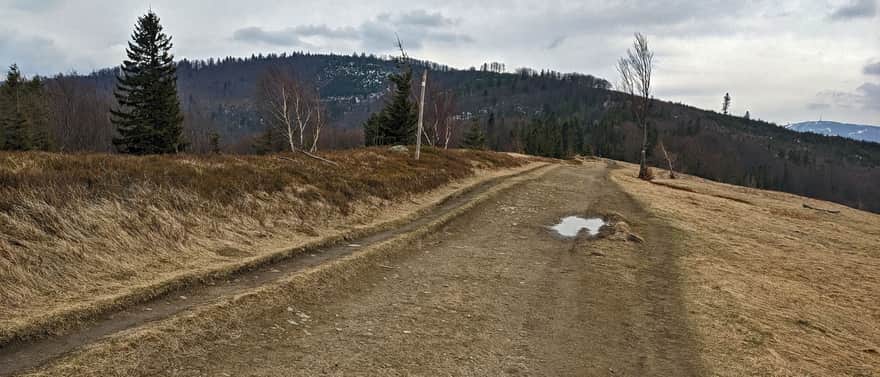 Meadows at Błatnia: view of Klimczok and Skrzyczne (in the background)