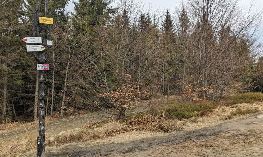 Szyndzielnia, 1028 meters above sea level