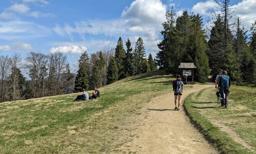 Szlak ze Starych Wierchów na Obidowiec