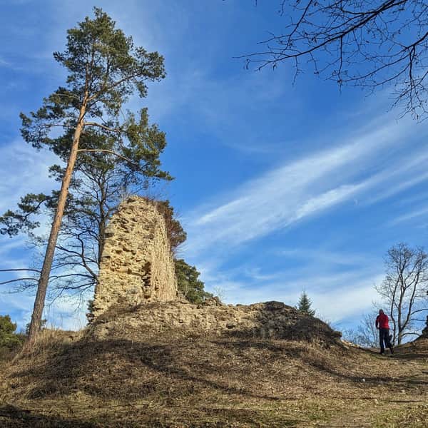 Ruins of the Upper Castle in Rożnów