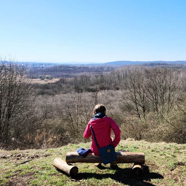 Górka Pychowicka - outdoor trail through the attractions of the area