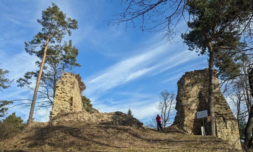 Upper Castle in Rożnów - ruins of Zawisza Czarny