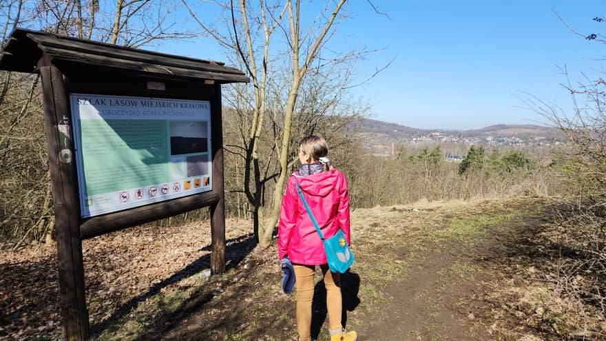 Punkt widokowy Górka Pychowicka