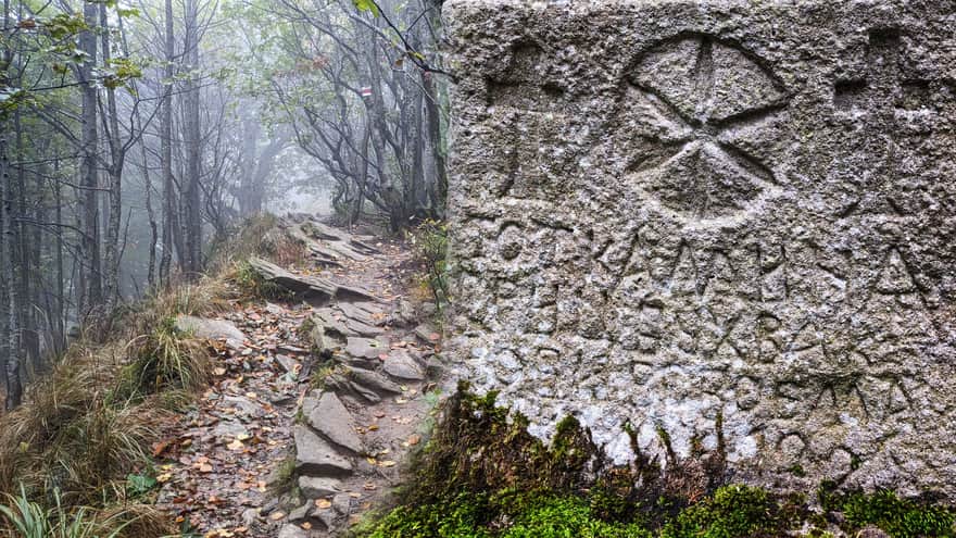 Z przewodnikiem w Bieszczady: Bieszczady są piękne i ciekawe przy każdej pogodzie!