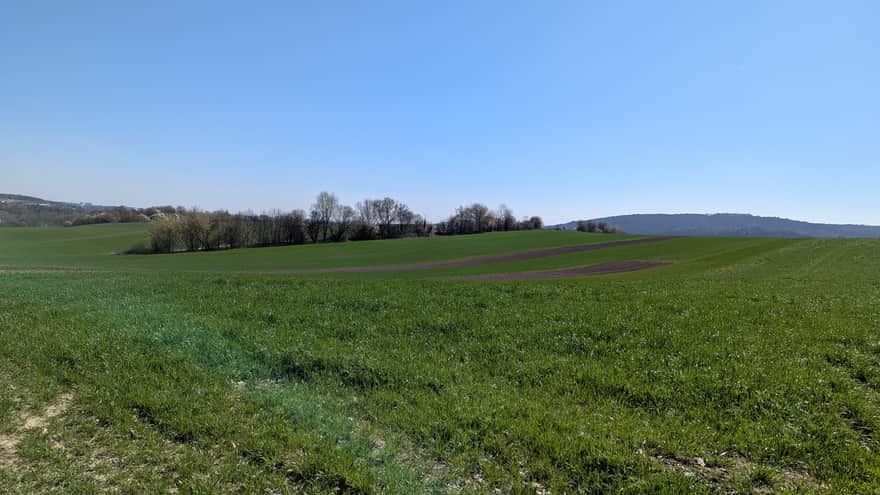 Widok na wzgórze Sowiniec z Kopcem Piłsudskiego