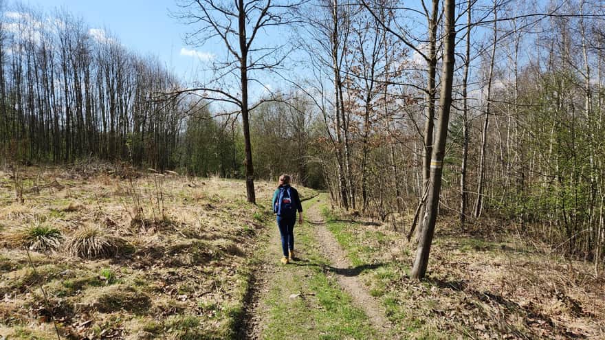 Początek żółtego szlaku przy zalewie w Sułkowicach