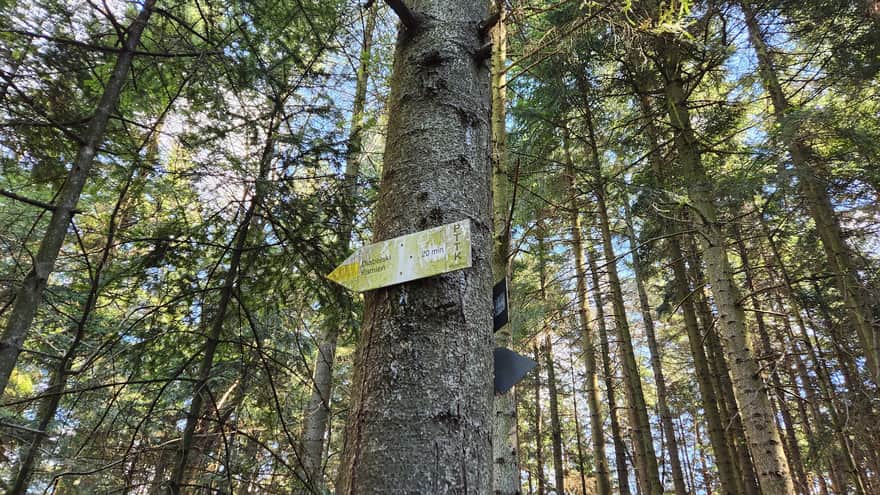 Drogowskaz pod Diabelski Kamień