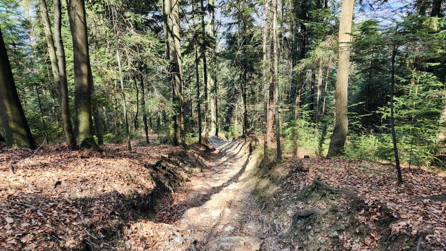 Strome zejście do diabelskiego kamienia