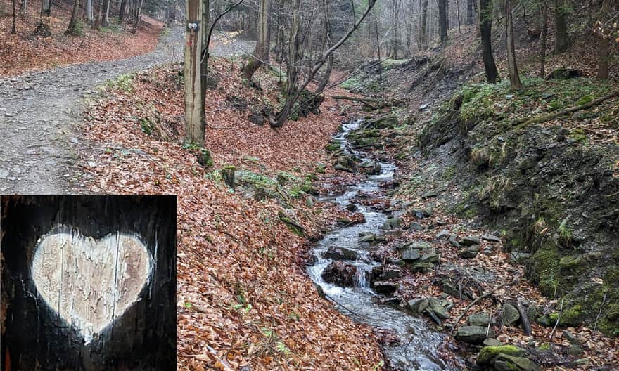 Szlak Białych Serc z Rzyk na Groń Jana Pawła II