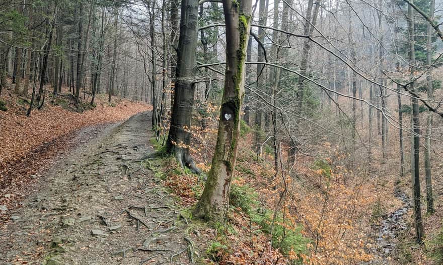 Szlak Białych Serc z Rzyk na Groń Jana Pawła II