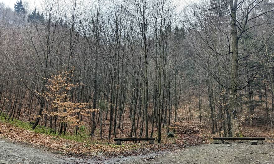 Szlak Białych Serc - pierwszy przystanek z ławeczkami 