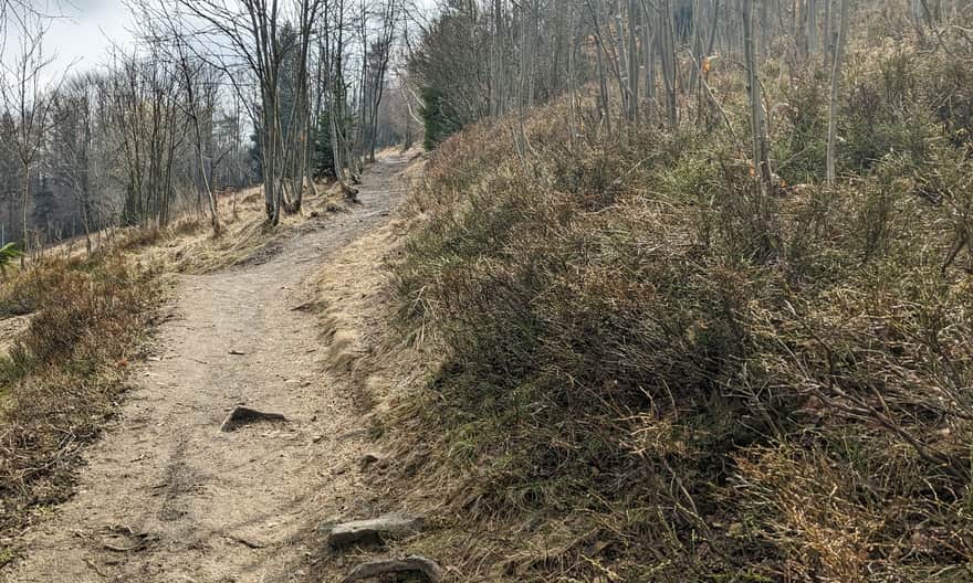 Szlak Białych Serc, tuż przed dojściem do schroniska