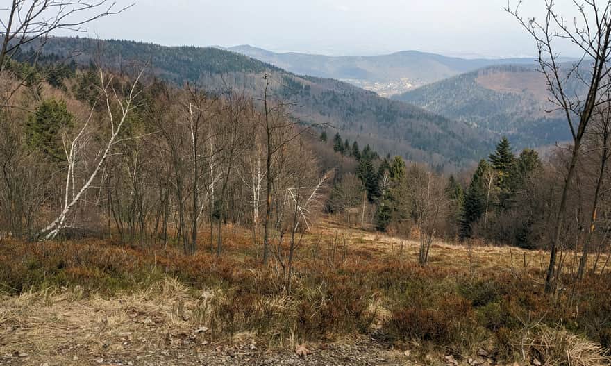 Szlak Białych Serc, widok ze szlaku na północ, tuż przed dojściem do schroniska