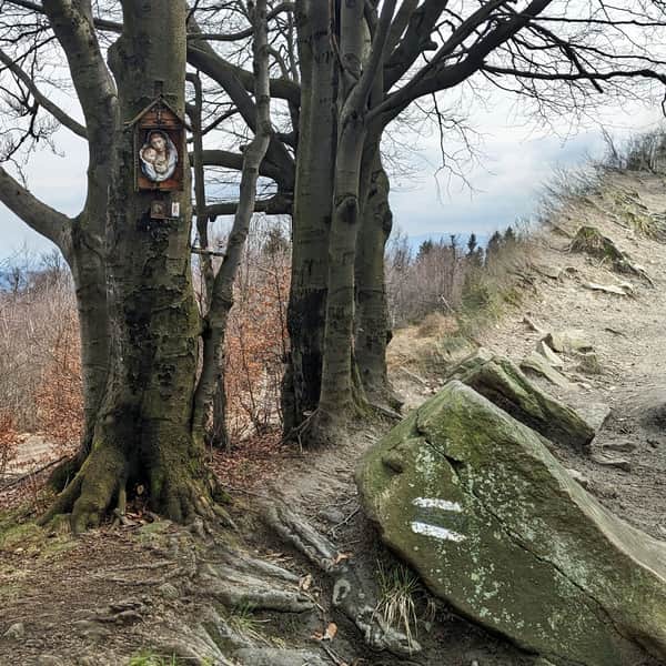 Najkrótszy szlak na Leskowiec - czarny z Rzyk
