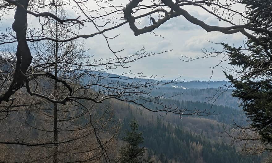 Czarny szlak z Rzyk. Widok na południowy-zachód: między Łamaną Skałą a Potrójną na ostatnim planie widać Beskid Śląski - od Baraniej Góry po Skrzyczne