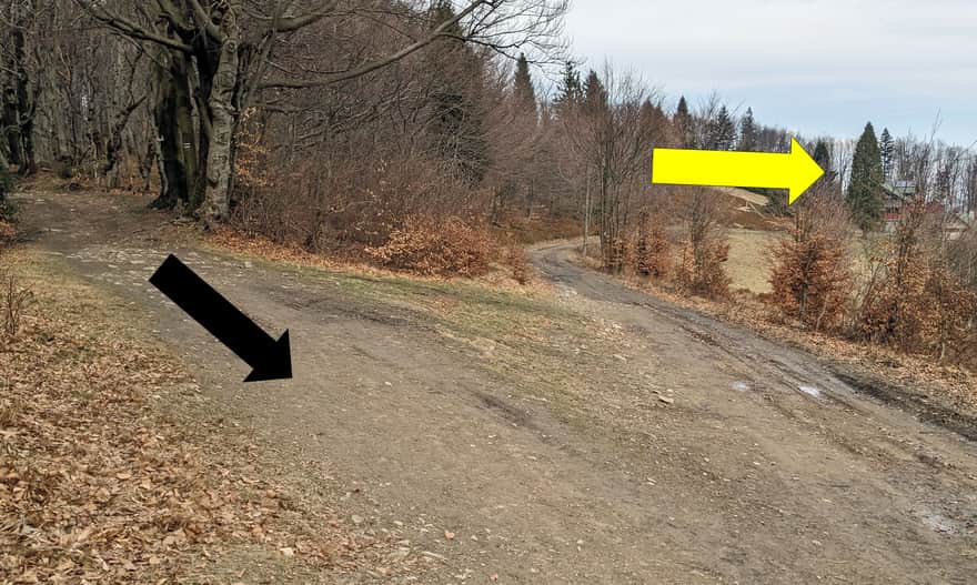 Przełęcz W. Midowicza. Czarna strzałka pokazuje, gdzie wychodzimy z lasu, a żółta wskazuje Schronisko PTTK Leskowiec