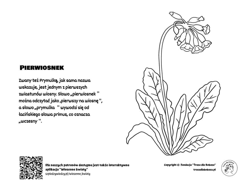 Pierwiosnek - kolorowanka dla dzieci pdf do wydruku