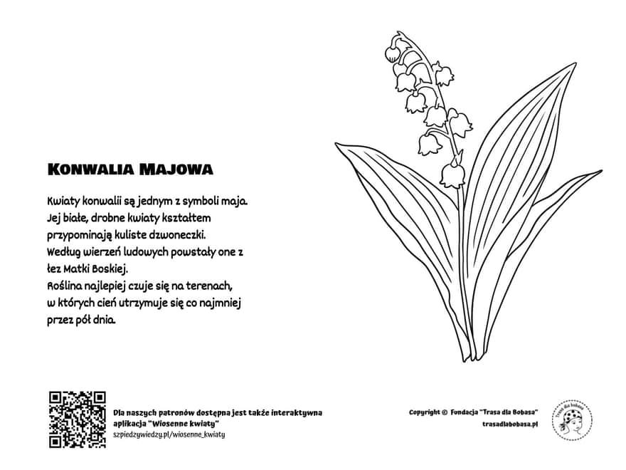 Konwalia - kolorowanka dla dzieci pdf do wydruku