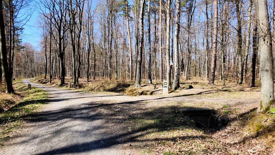Turning right onto the red trail