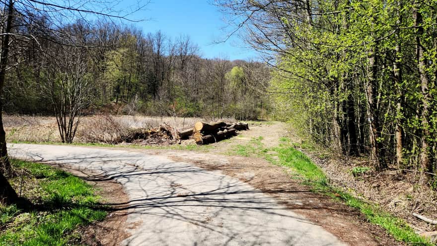 Divergence of the asphalt road (which we recommend) and the trail