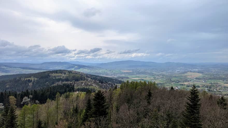 View from the tower on Łysula