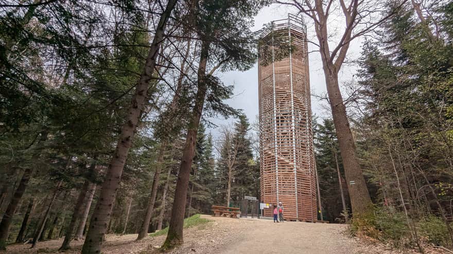 Tower on Łysula