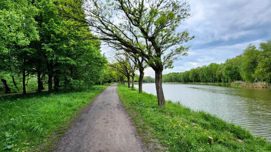 Path by the Northern Border of the Park by Smug Lake, Jacek Kuroń Park in Kazimierz Górniczy District, Sosnowiec