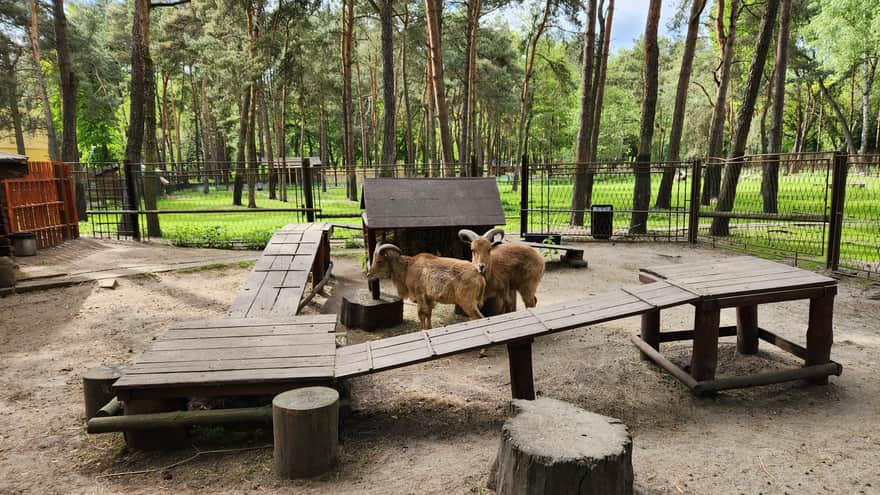 Mini Zoo, Jacek Kuroń Park in Kazimierz Górniczy District, Sosnowiec