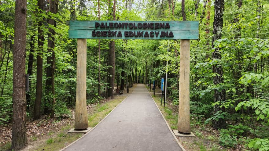 Dino Park, Jacek Kuroń Park in Kazimierz Górniczy District, Sosnowiec