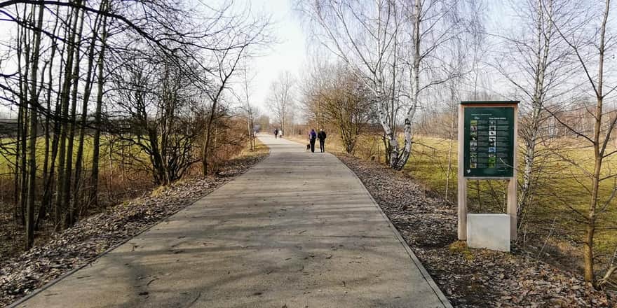Rezerwat Żabie Doły, fot. Zbigniew Sieja