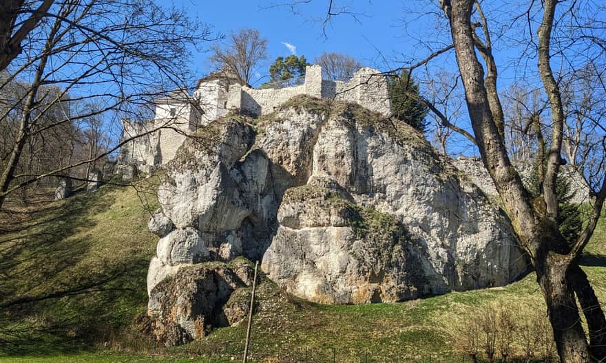 Zamek Kazimierzowski w Ojcowie