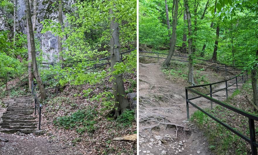 Path to Ciemna Cave - green trail
