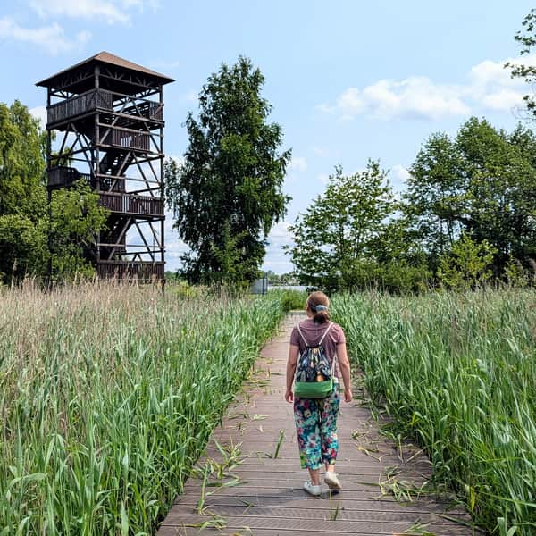 Blachownia Reservoir near Częstochowa - swimming area, beach, observation tower, and scenic walking and cycling path