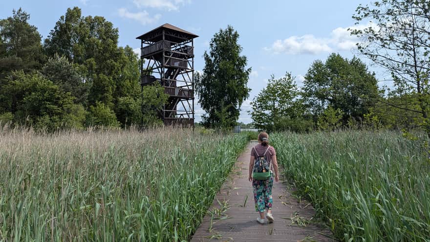 Pomost przy wieży widokowej, Zalew Blachownia niedaleko Częstochowy