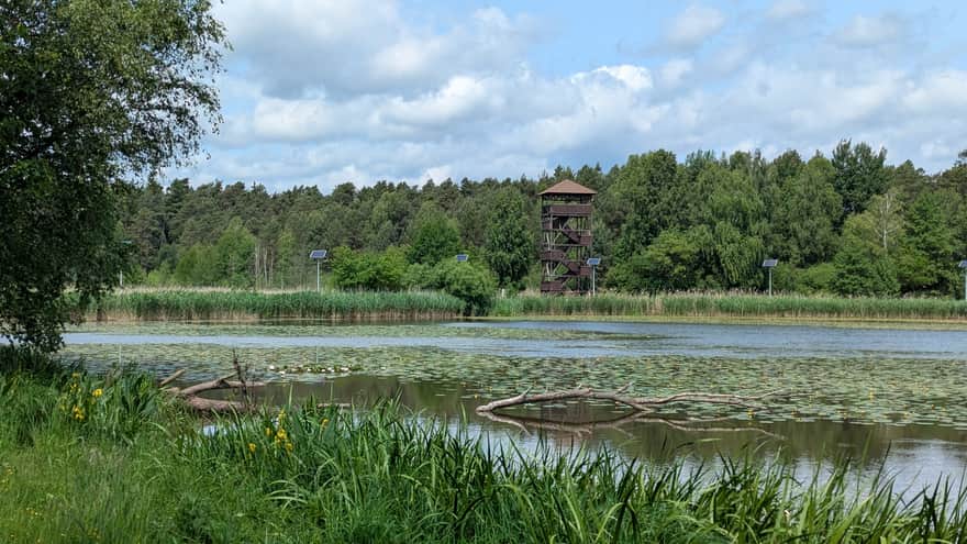 Wieża widokowa nad zalewem Blachownia