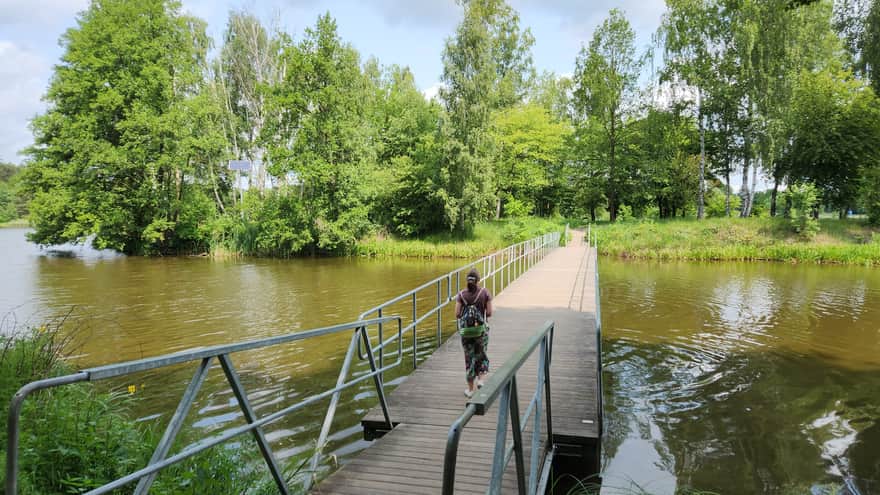 Ścieżka wokół zalewu - Ptasia Wyspa