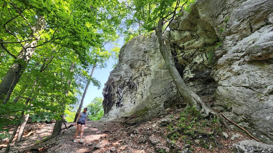 Rezerwat Sokole Góry