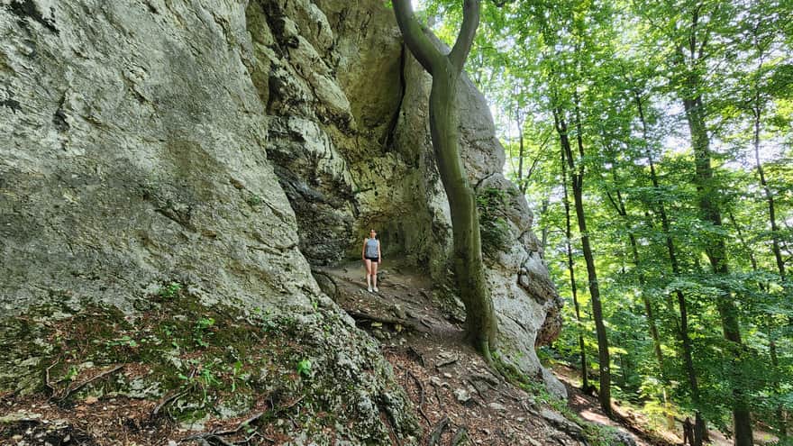Skała Bonifacy, Rezerwat Sokole Góry