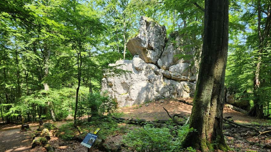 Skała Pielgrzym, Rezerwat Sokole Góry