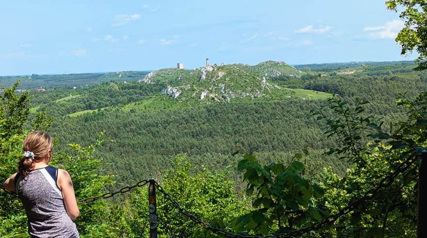 Taras widokowy na skale Bonifacy, Rezerwat Sokole Góry