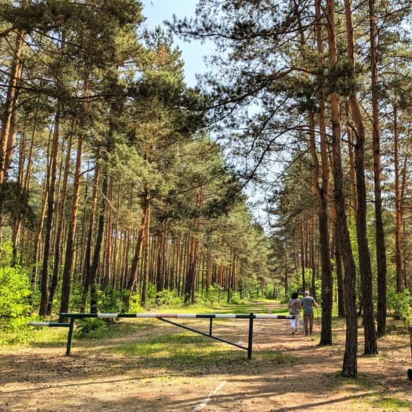 Żółty szlak wokół rezerwatu "Sokole Góry" - łatwa trasa spacerowa dla każdego