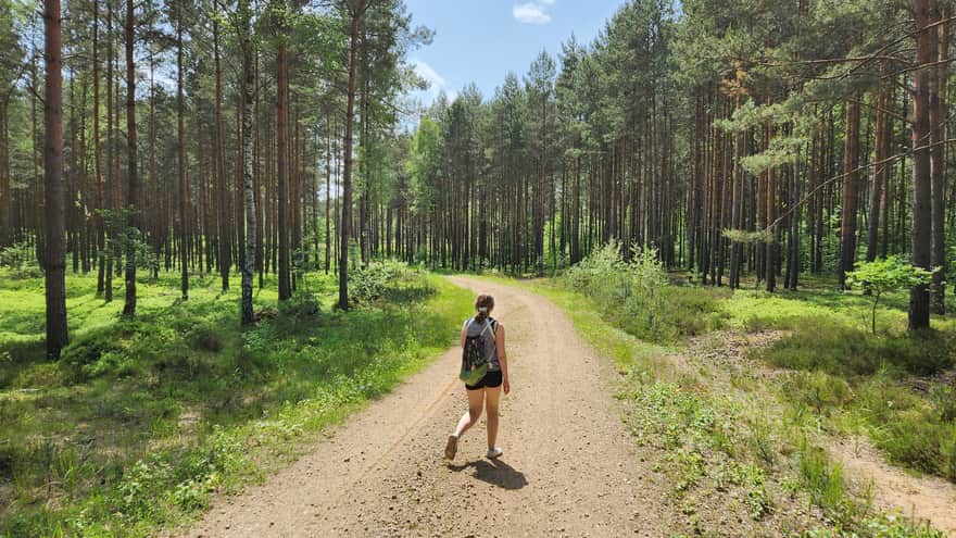 Żółty szlak wokół rezerwatu "Sokole Góry"
