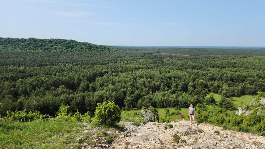 Widok na rezerwat "Sokole Góry"