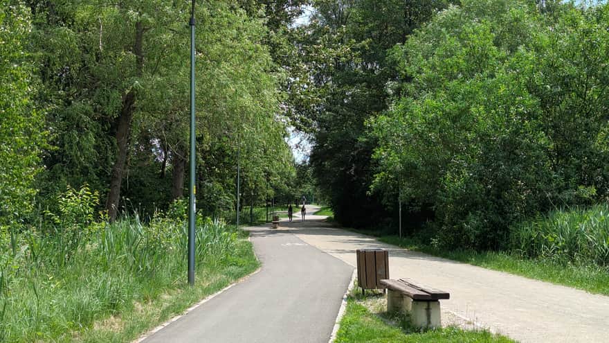 Walking and Biking Paths by the Lake in Lisiniec Park