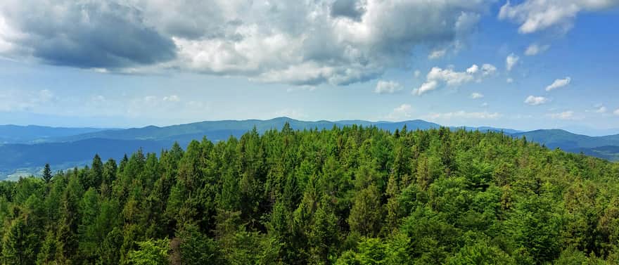 Modyń - view from the viewing tower towards Gorce, photo by Michał Raś, Beskid guide