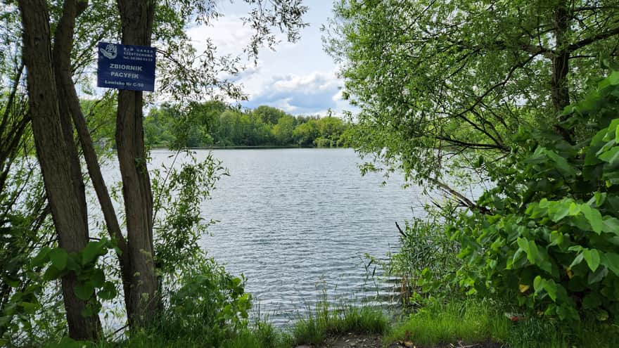 Pacific Lake