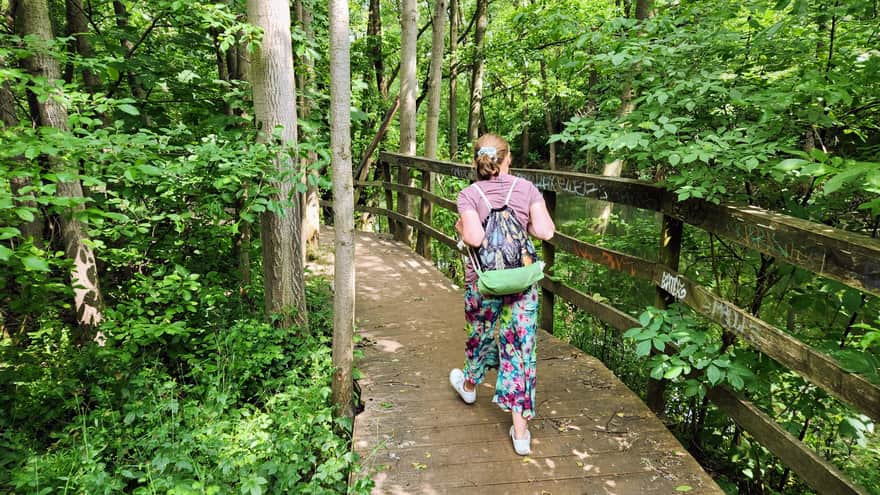 Wooden Piers Near the Swimming Area