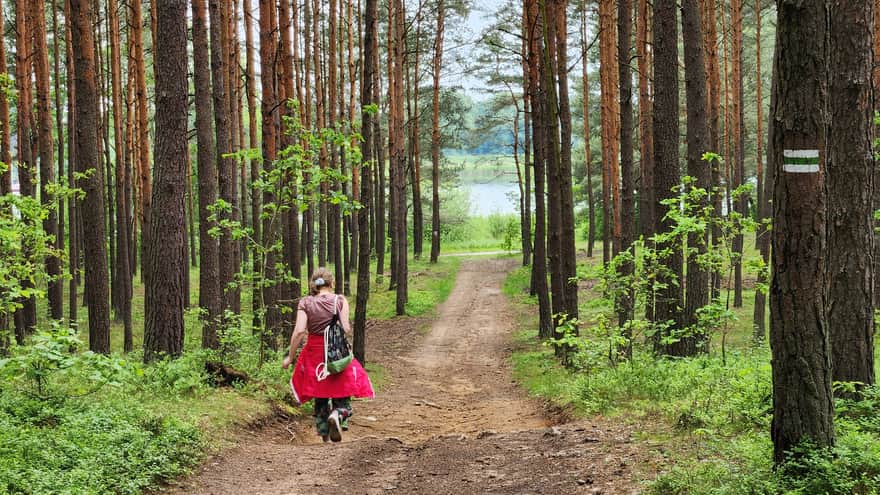Green trail around Poraj Reservoir