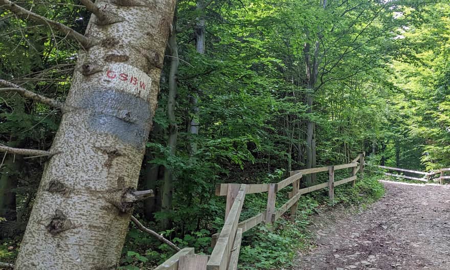 Tower on Kamionna - painted-over PTTK hiking trails